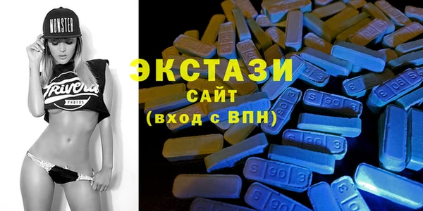 ECSTASY Богородицк